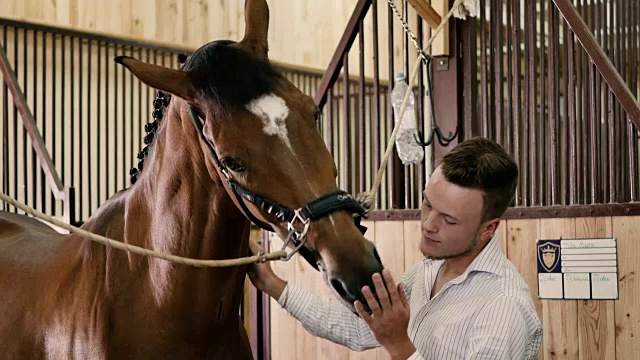 一个年轻人正抚摸着马的嘴套视频素材
