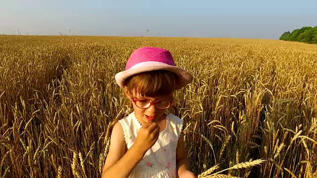 小女孩在检查麦粒的质量。小麦变黄。很快它就会开始收割了。视频下载