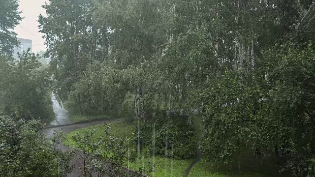 大雨视频素材