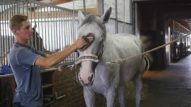 一个小男孩在马厩里清理马的身体。人们用刷子清除白马身上的尘土。照顾动物。观点的俱乐部。慢镜头，慢动作，特写，特写视频下载