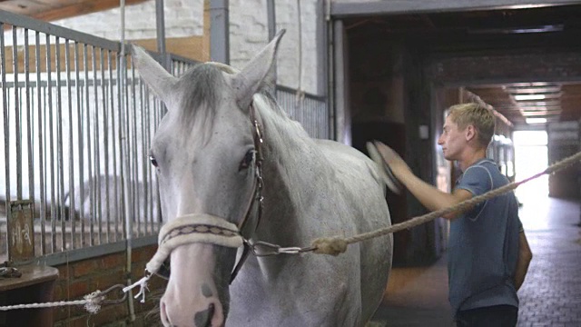 一个小男孩在马厩里清理马的身体。人们用刷子清除白马身上的尘土。照顾动物。观点的俱乐部。特写,特写视频下载