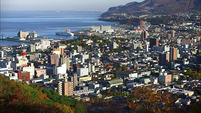 日本北海道小樽城市中心视频素材