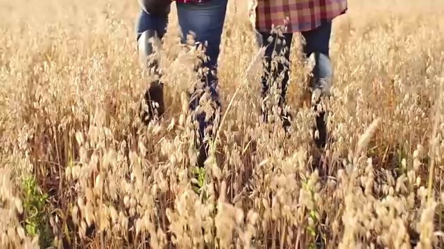 年轻的农民与父亲在庄稼中散步视频素材