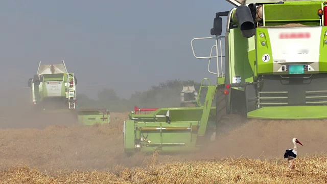 用现代机械进行农业工作视频素材