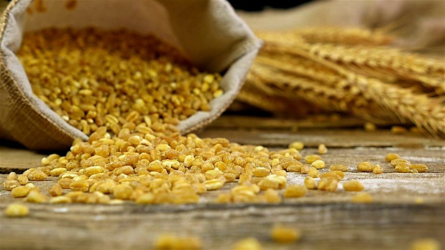 金色的麦粒装在一个袋子里，在古老的木制背景上洒出来，慢镜头视频素材