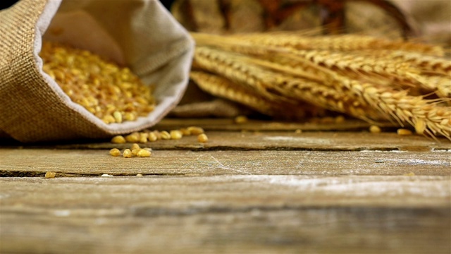 金色的麦粒装在一个袋子里，在古老的木制背景上洒出来，慢镜头视频下载