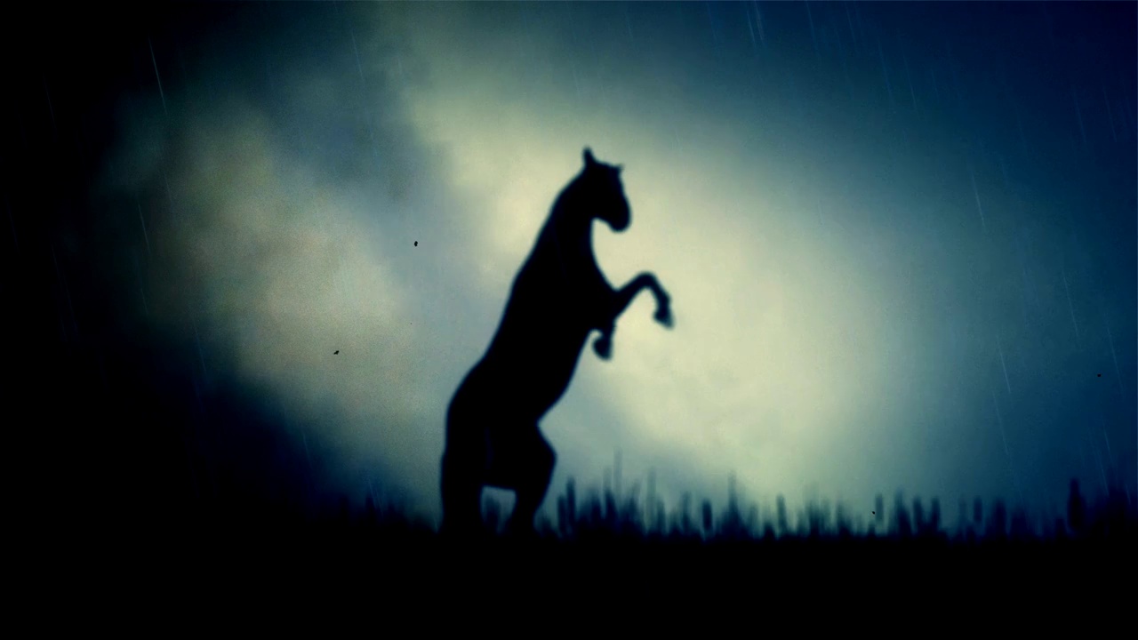 一匹史诗般的公马站在闪电风暴下的田野上视频素材