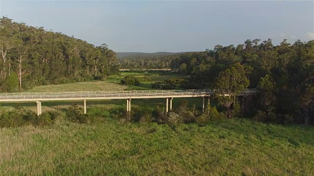 图片:白色越野车穿过绿色的澳大利亚沼泽的桥视频素材