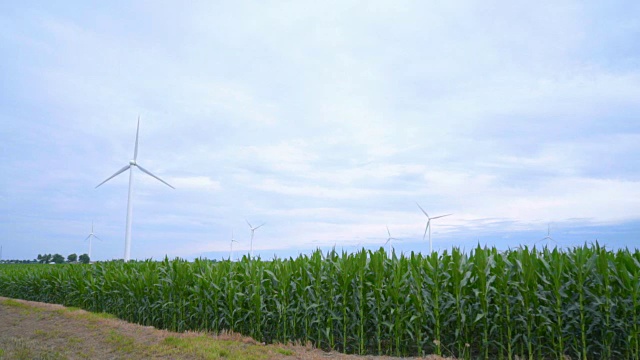 风力涡轮机矗立在绿色的田野里。绿色能源和可再生能源视频素材