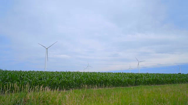 蓝天下的绿色田野上的风力涡轮机。风力发电领域视频素材