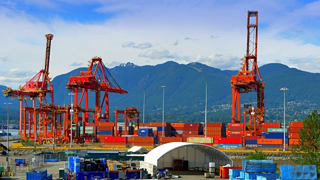 集装箱港口，海上装车工业起重机，出口贸易视频素材