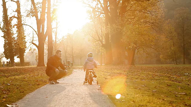 父亲和儿子在户外的秋天公园里骑自行车视频素材