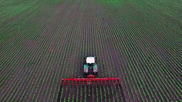 拖拉机牵引田地，为植物除草的农业机械。侧视图视频素材