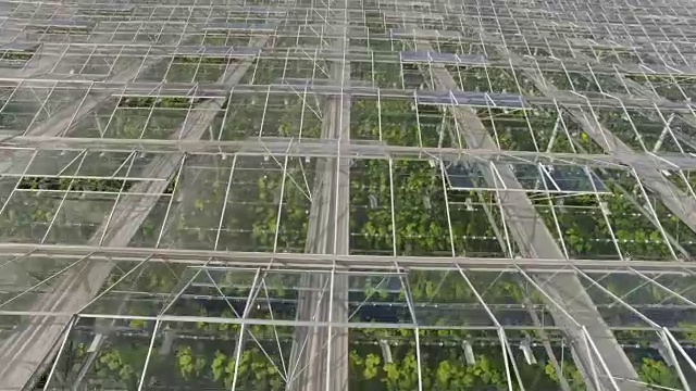 农业温室鸟瞰图视频下载