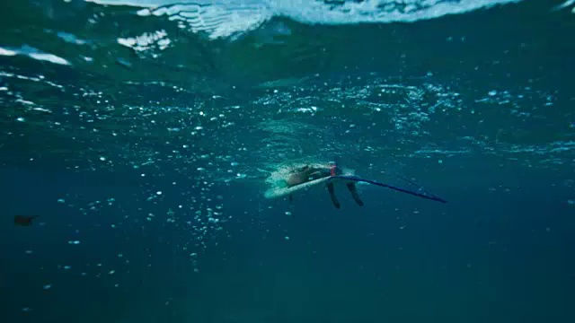 冲浪者在水下划水视频素材