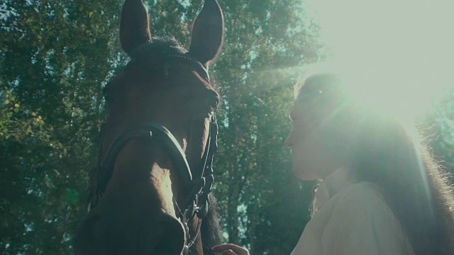 女骑手和马在阳光明媚的森林。女人抚摸着马视频素材