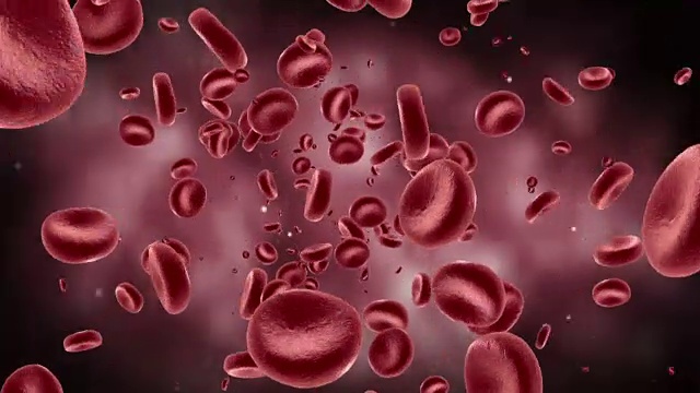 动脉中的红细胞视频下载
