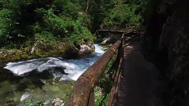 在Vintgar峡谷散步。野拉多夫纳河在木桥附近流过。清澈的蓝色的水和绿色的森林。特里格拉夫国家公园，朱利安阿尔卑斯山，布莱德山谷，斯洛文尼亚。视频下载
