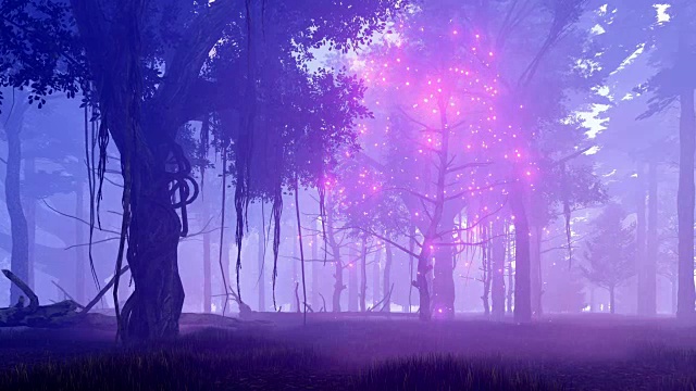 在朦胧的夜森林中，幻想树有着神奇的灯光视频下载