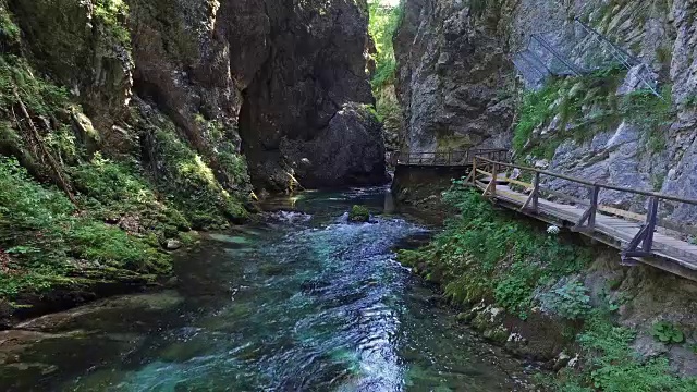 拉多夫纳河流经Vintgar峡谷。木制小道和桥梁。清澈的蓝色的水和绿色的森林。特里格拉夫国家公园，朱利安阿尔卑斯山，布莱德山谷，斯洛文尼亚。视频下载