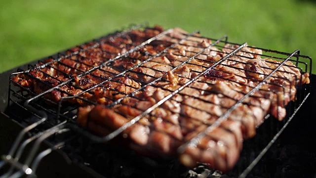 炭火上诱人的烤肉。猪肉烧烤视频素材