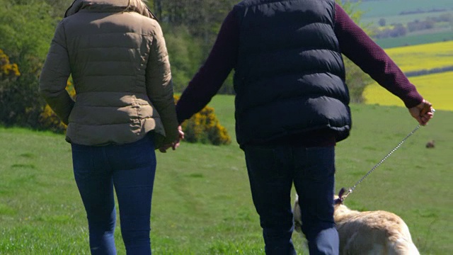 一对成熟的夫妇用R3D拍摄金毛猎犬散步视频素材