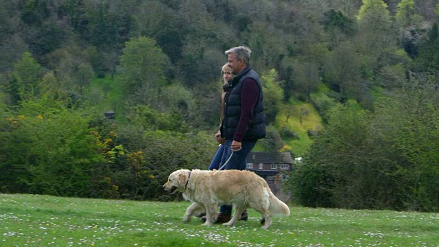一对成熟的夫妇用R3D拍摄金毛猎犬散步视频素材