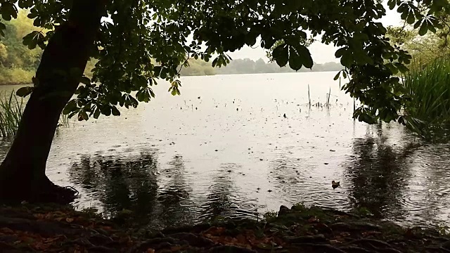 雨点溅落在美丽的湖在慢镜头视频下载