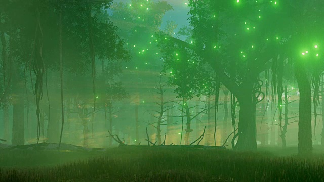 诡异的夜森林里的神秘之光视频素材