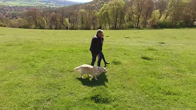 航拍的成熟夫妇和狗在乡村散步视频素材