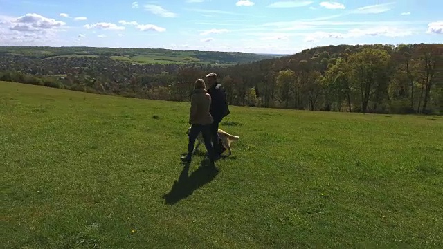航拍的成熟夫妇和狗在乡村散步视频素材