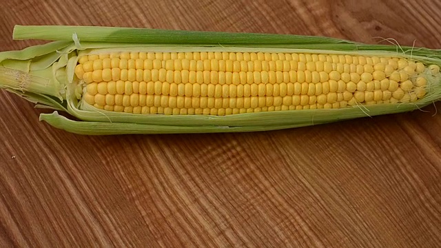 拍摄的玉米。视频下载