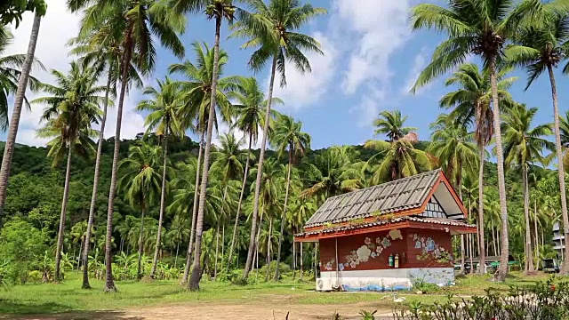 泰国Koh-Chang岛，棕榈树间的小房子视频下载
