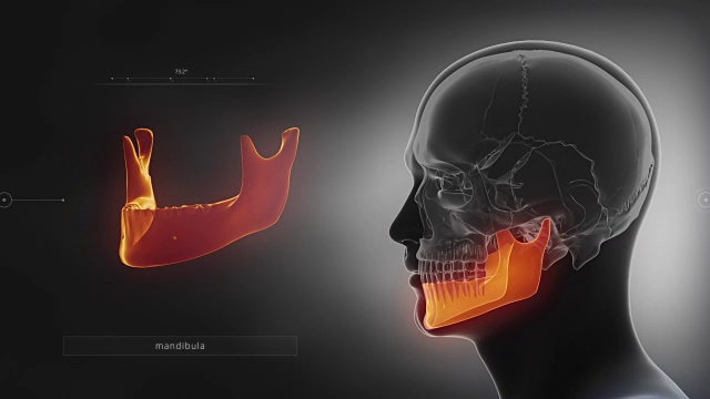 黑色x光颅骨动画-下颌骨或下颌骨视频下载