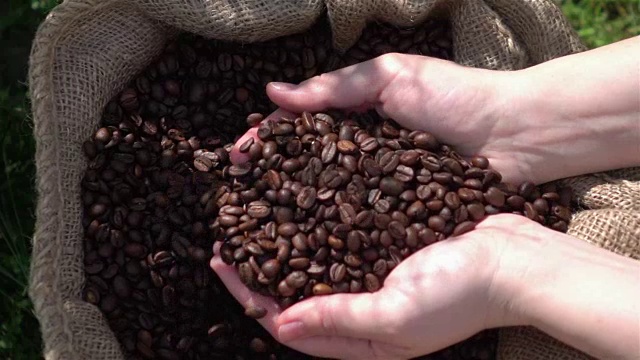 检查咖啡豆的慢动作视频视频素材