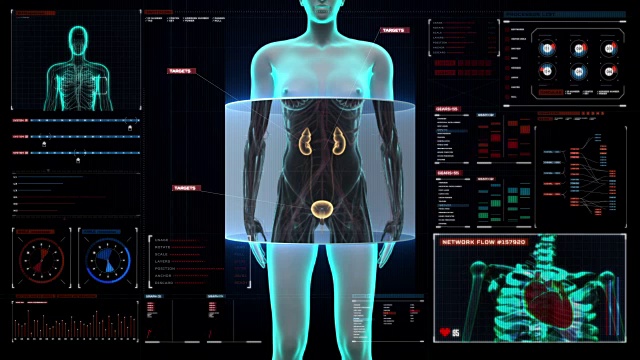 在数字显示仪表板上扫描女性肾脏。x射线。视频素材