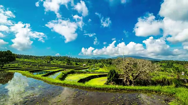 FullHD间隔拍摄。稻田里水里云的倒影。2015年7月15日，印度尼西亚巴厘岛视频素材