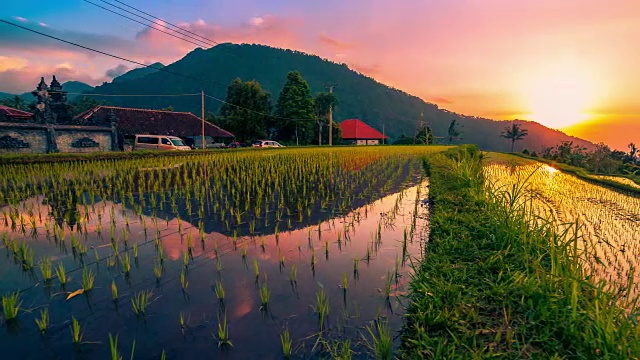 FullHD间隔拍摄。夕阳下的稻田倒映在水面上。2015年7月15日，印度尼西亚巴厘岛视频素材