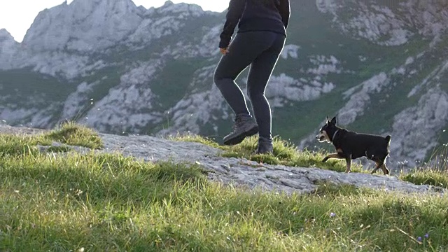 近距离观察:快乐的年轻女子与她的高级小宠物狗在山上跑步视频素材