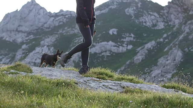 近距离观察:快乐的年轻女子与她的小宠物狗在惊人的徒步旅行视频素材