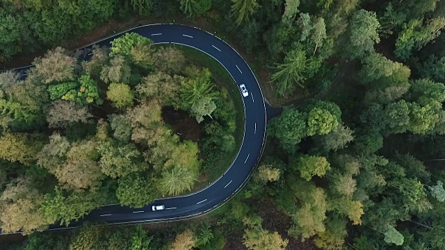 道路在森林里转弯视频素材