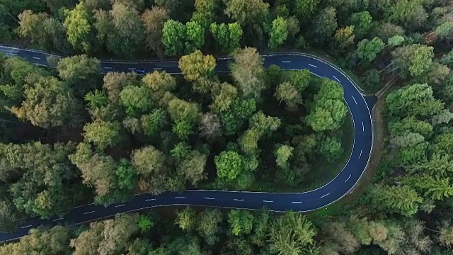 道路在森林里转弯视频素材