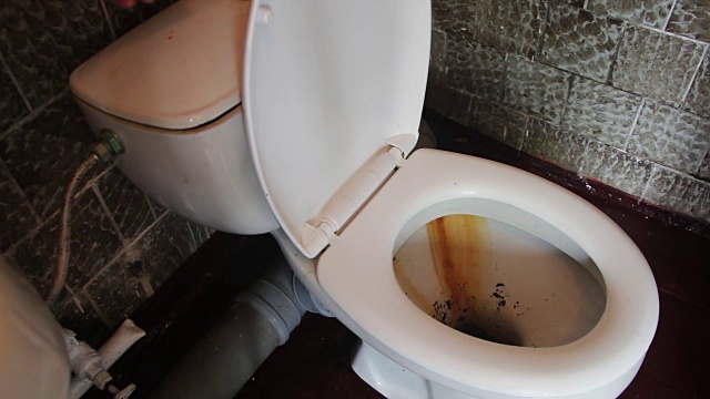 肮脏的厕所冲水视频下载