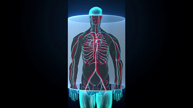 男性身体血管扫描。视频素材