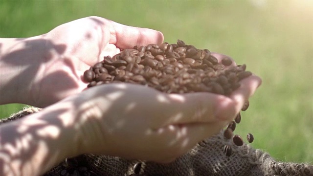 用慢镜头抓取咖啡豆的视频视频素材