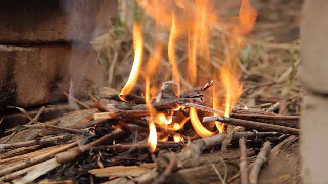 燃烧的篝火和小树枝视频素材