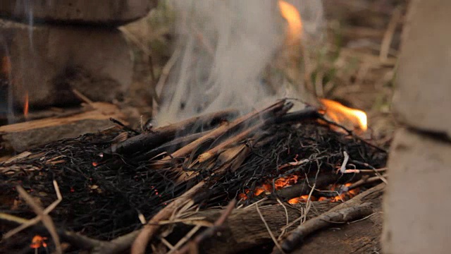 有火焰喷射的木头余烬视频素材