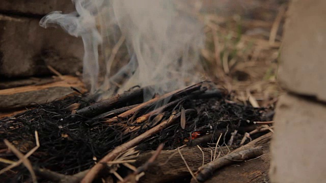 木头灰烬的火焰。用烧干的干草视频素材