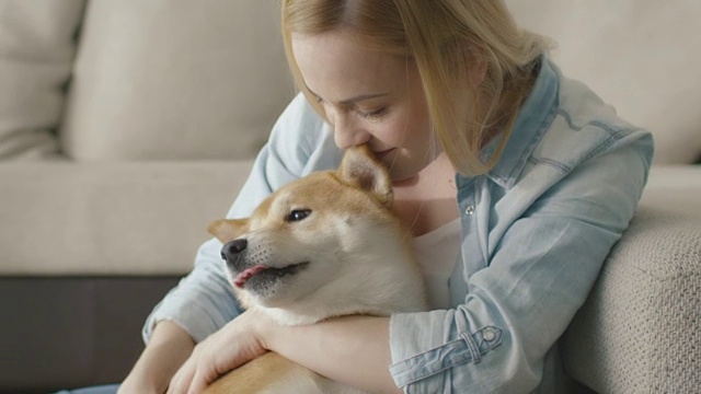 快乐的金发女人在家里的沙发旁边和宠物狗玩。视频素材