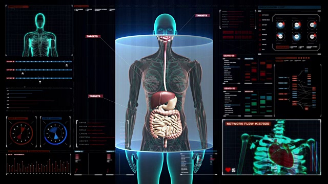 女性身体内部器官扫描，数字显示消化系统视频素材